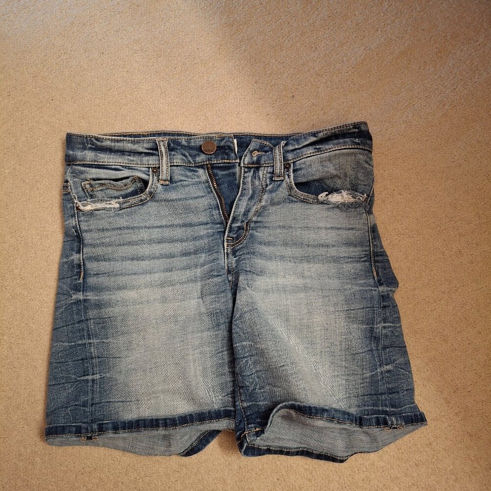 BKE Payton Stretch Shorts